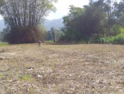 Caleg Nasdem Dapil V TOBA , Robinson Sibarani Beli Tanah ke Bukan Pemilik