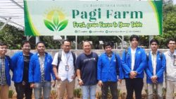 UPER Hadirkan Urban Farming yang Ramah Lingkungan, Tanam Harapan di Tengah Beton