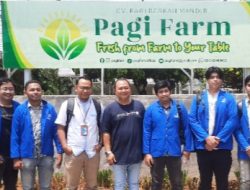 UPER Hadirkan Urban Farming yang Ramah Lingkungan, Tanam Harapan di Tengah Beton