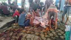 BPN Kota Depok Sembelih 3 Sapi dan 14 Kambing, Tebar Manfaat Kurban untuk Warga