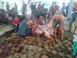BPN Kota Depok Sembelih 3 Sapi dan 14 Kambing, Tebar Manfaat Kurban untuk Warga