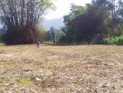 Modus Kuasa Palsu & Kelalaian Aparat : Calon Legislatif Tobasa Terduga Jadi Korban Penipuan Tanah Adat Senilai Rp 1,5 Miliar di Silaen, Pemilik : Kembalikan